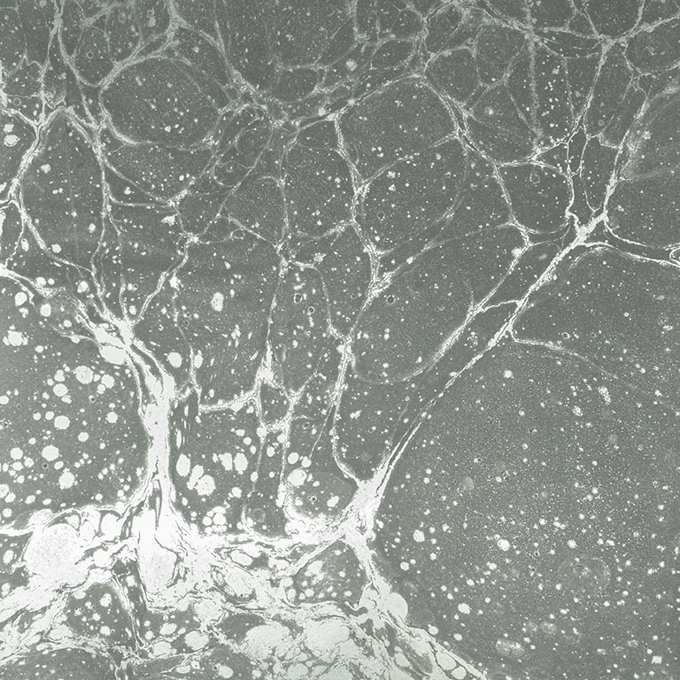 Lunaris Smoke Calico Wallpaper