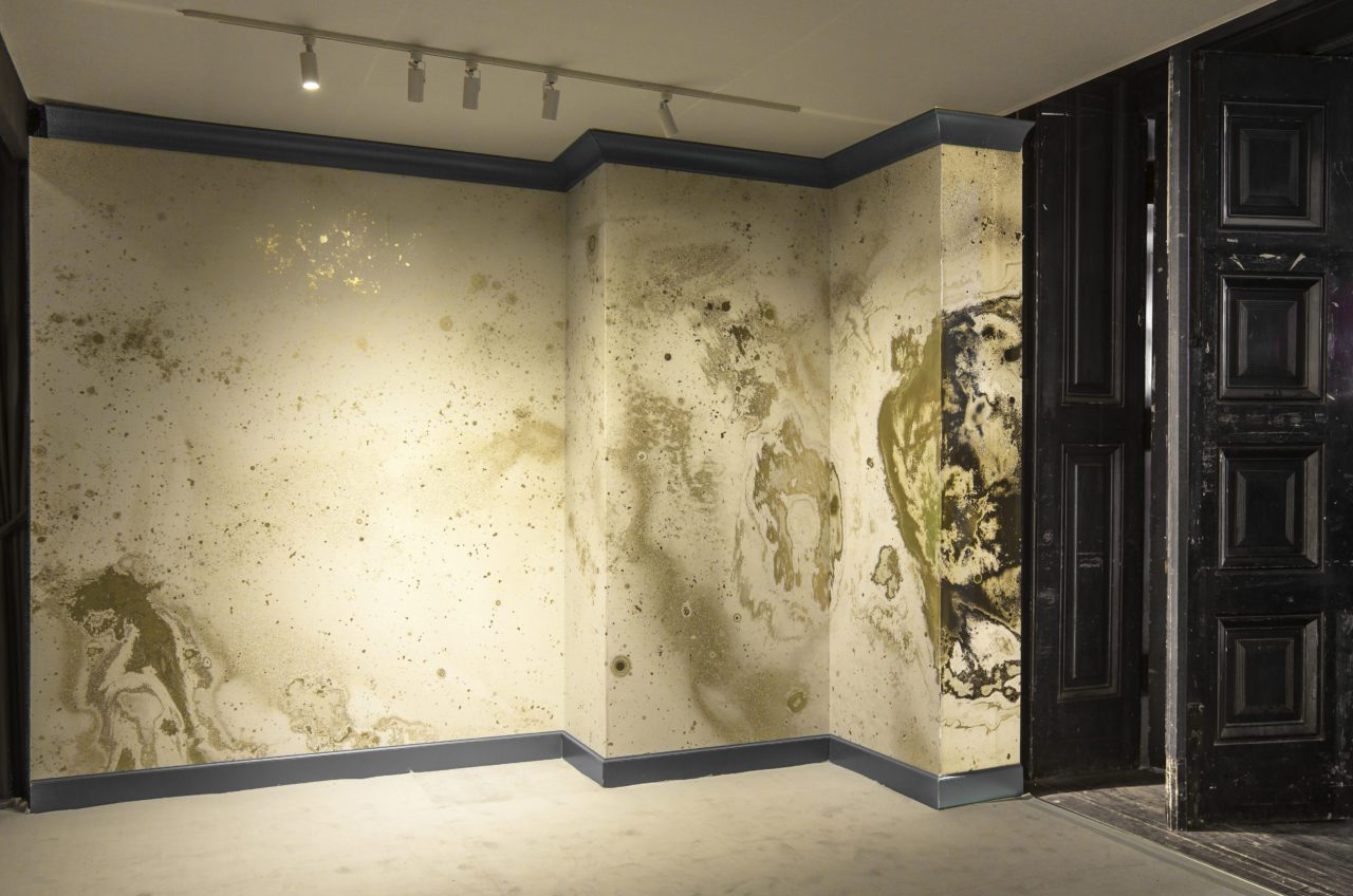 Detailed Corona Paint And Body Wallpaper Collection Detailed Corona Paint And Body Wallpaper Collection