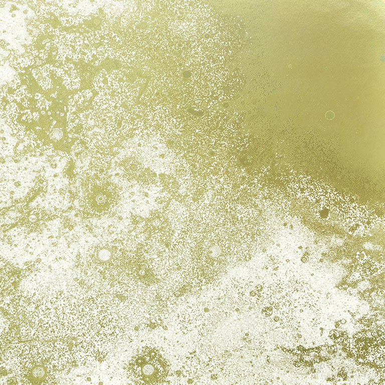 Inverted Spaces Corona Calico Wallpaper