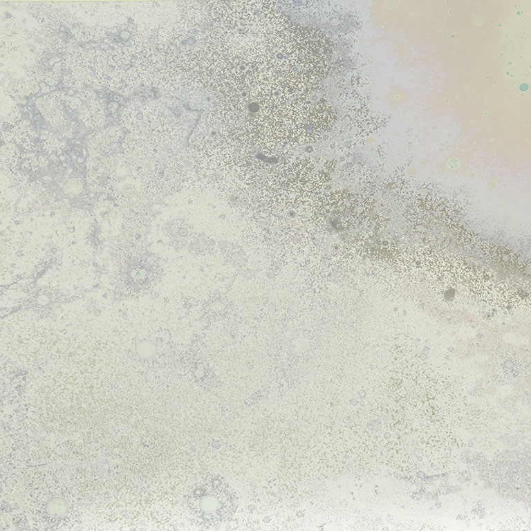 Inverted Spaces Andromeda Calico Wallpaper