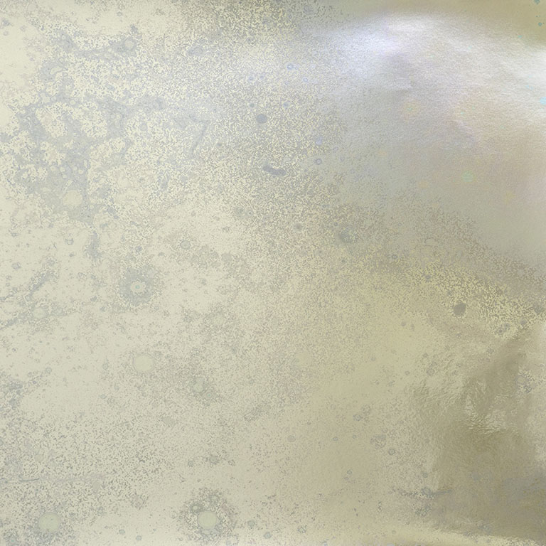 Inverted Spaces Cassiopea Calico Wallpaper