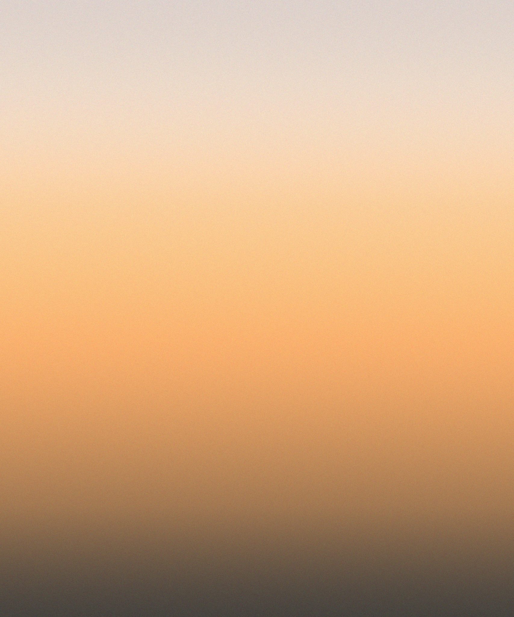 Silhouette — Calico Wallpaper