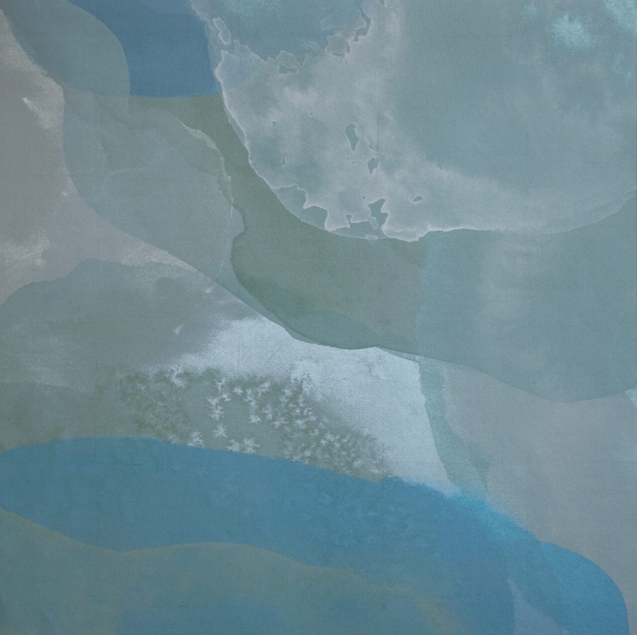 Calico wallpaper in blue floral