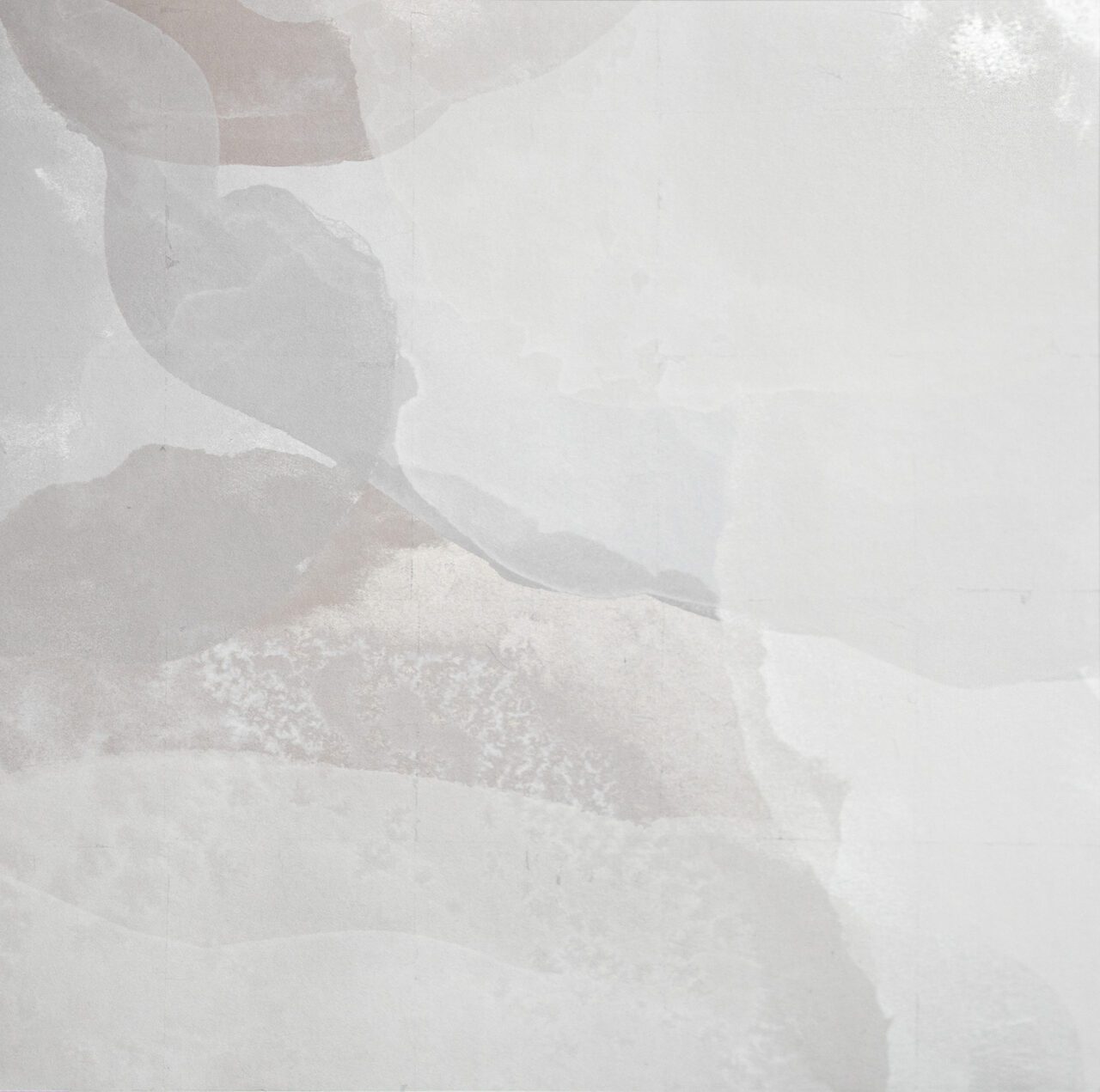 Calico wallpaper in neutral gray floral