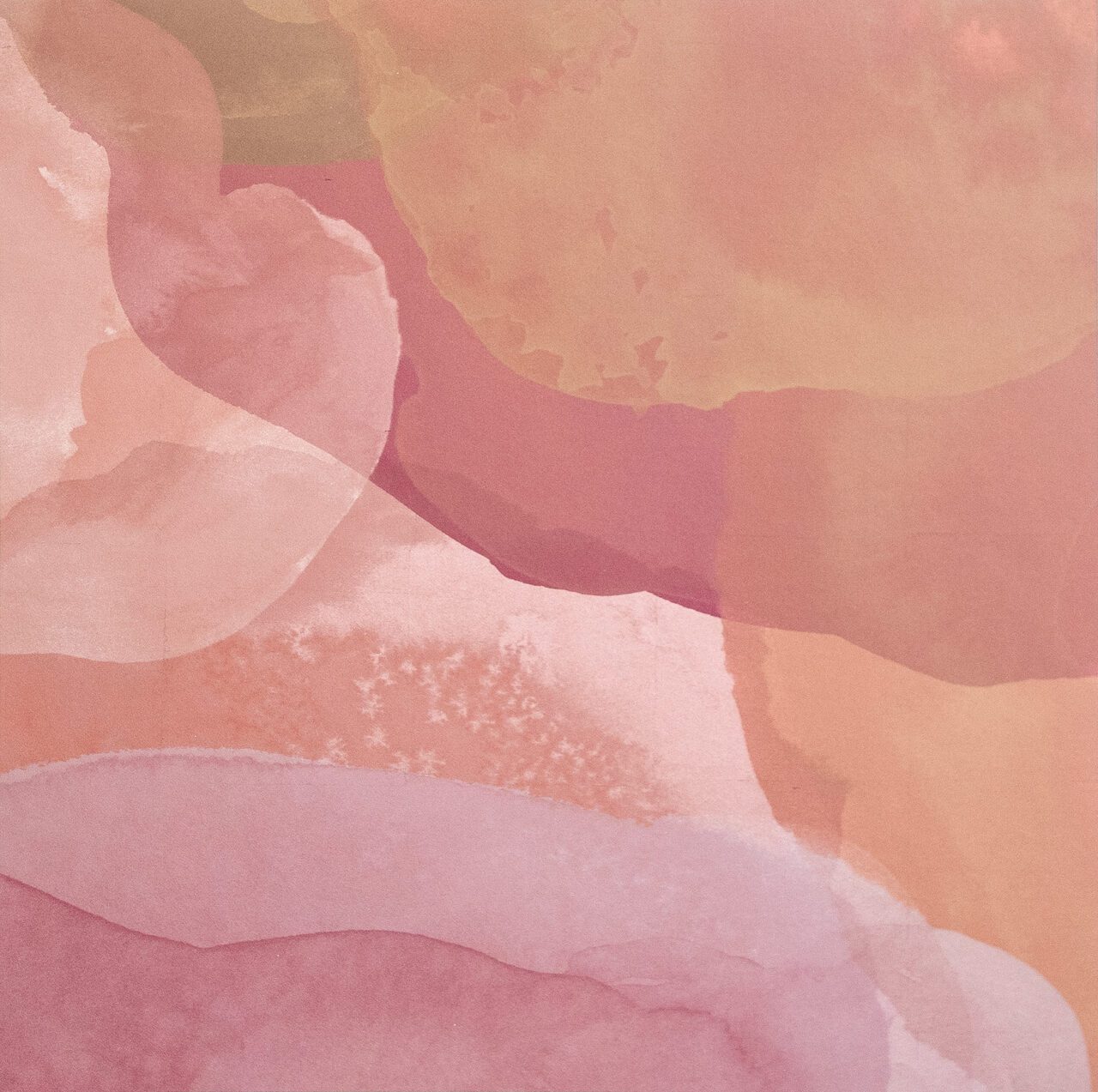 Calico wallpaper in multi-color red floral