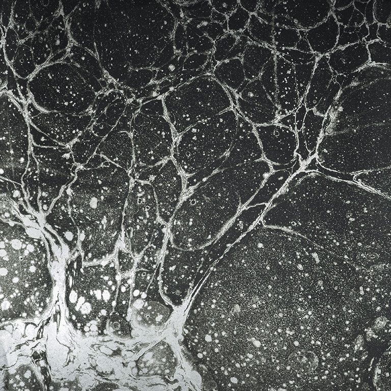 Lunaris Collection Deck